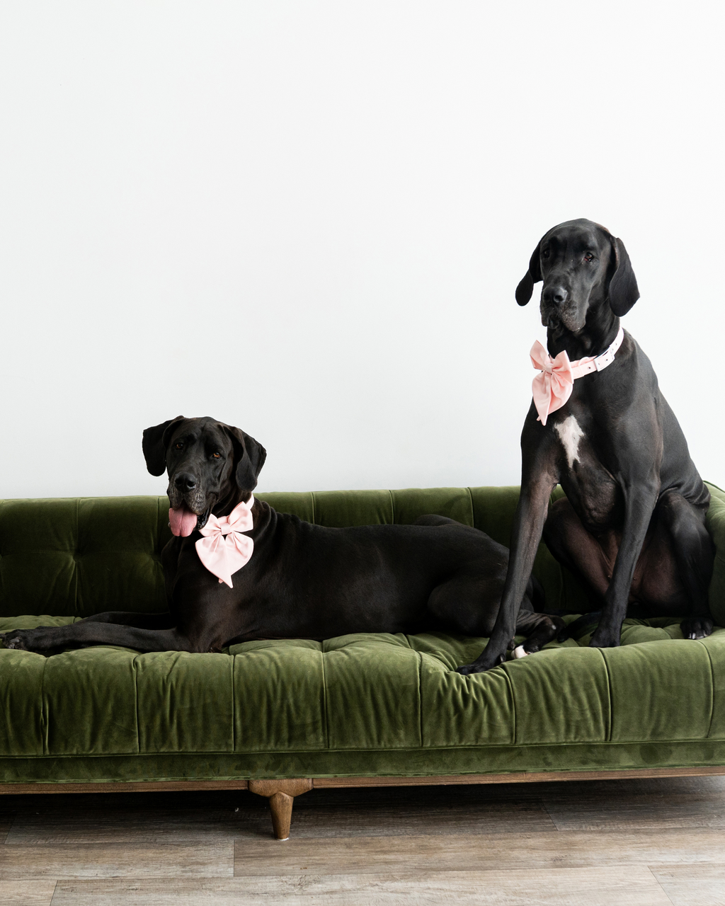 Satin Collar Bow - Blossom