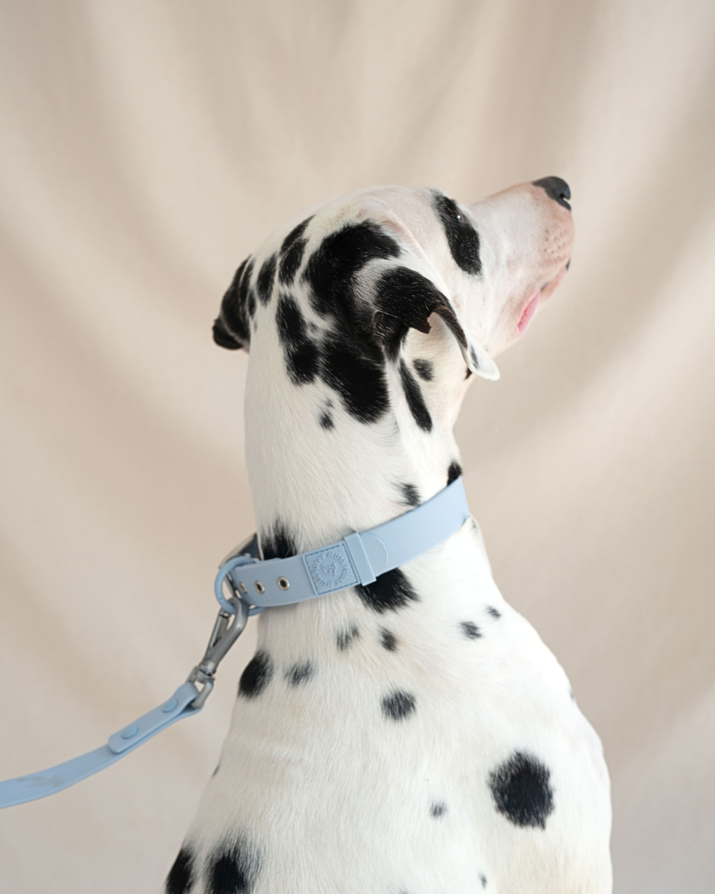 Wander! Multiway Leash -  Sky