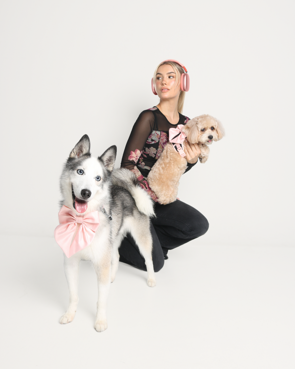 Satin Collar Bow - Blossom