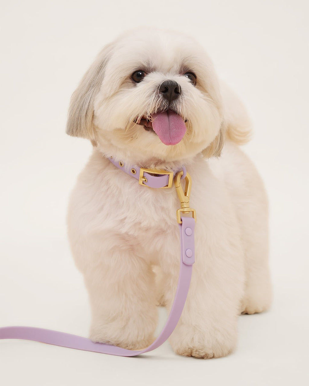 Wander! Waterproof Collar - Lilac