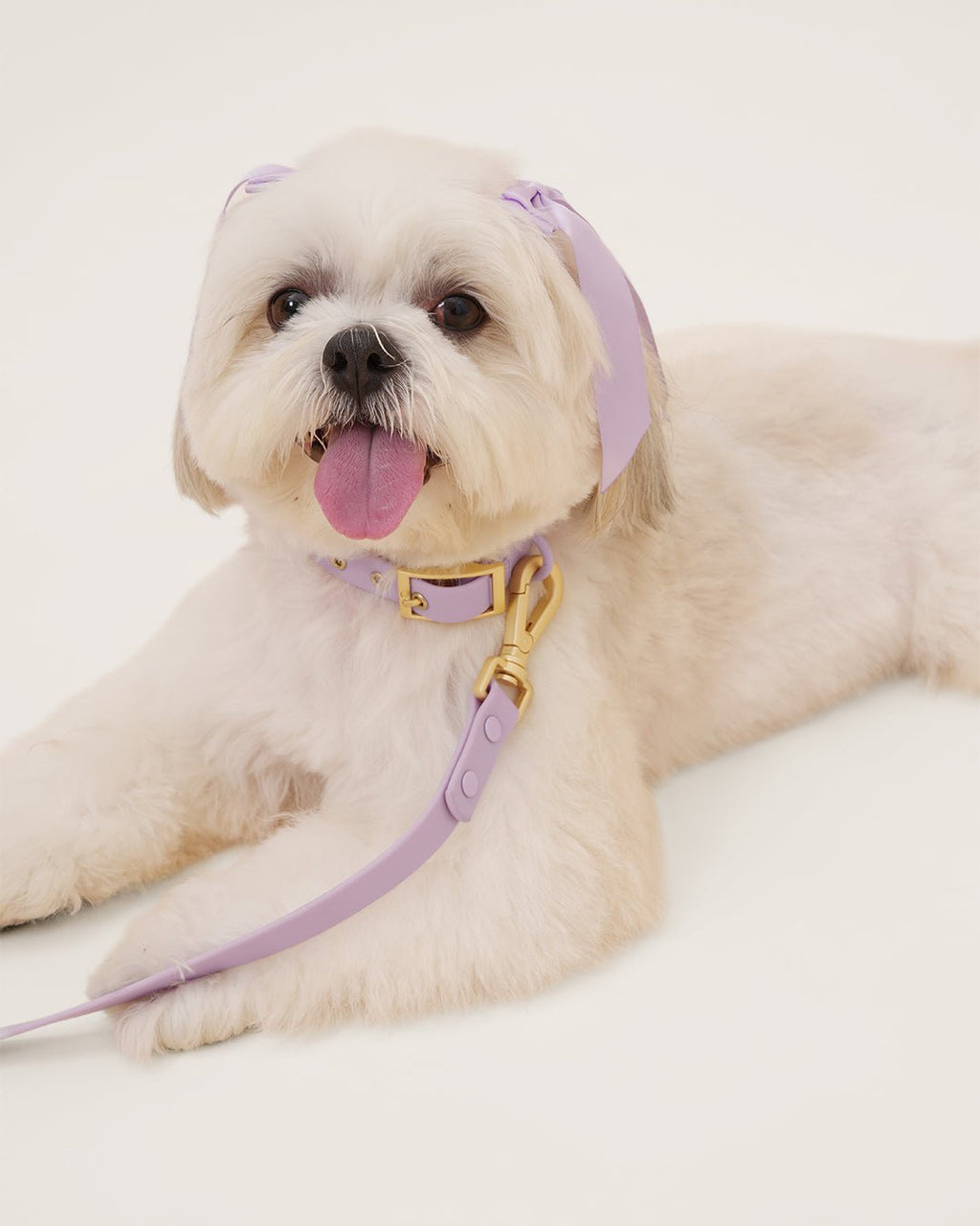 Wander! Multiway Leash - Lilac