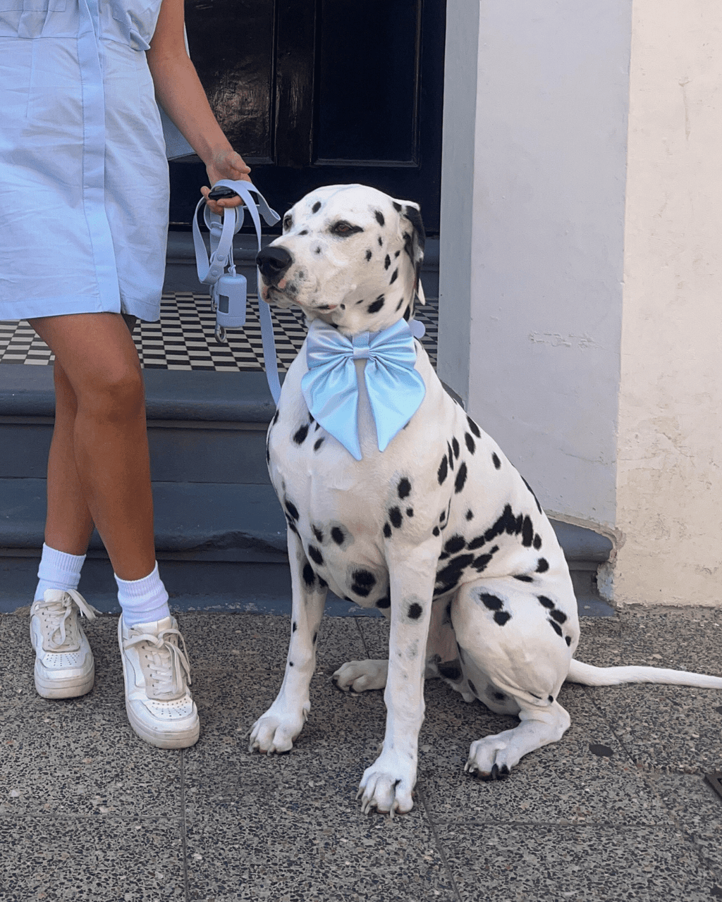 Satin Collar Bow - Sky