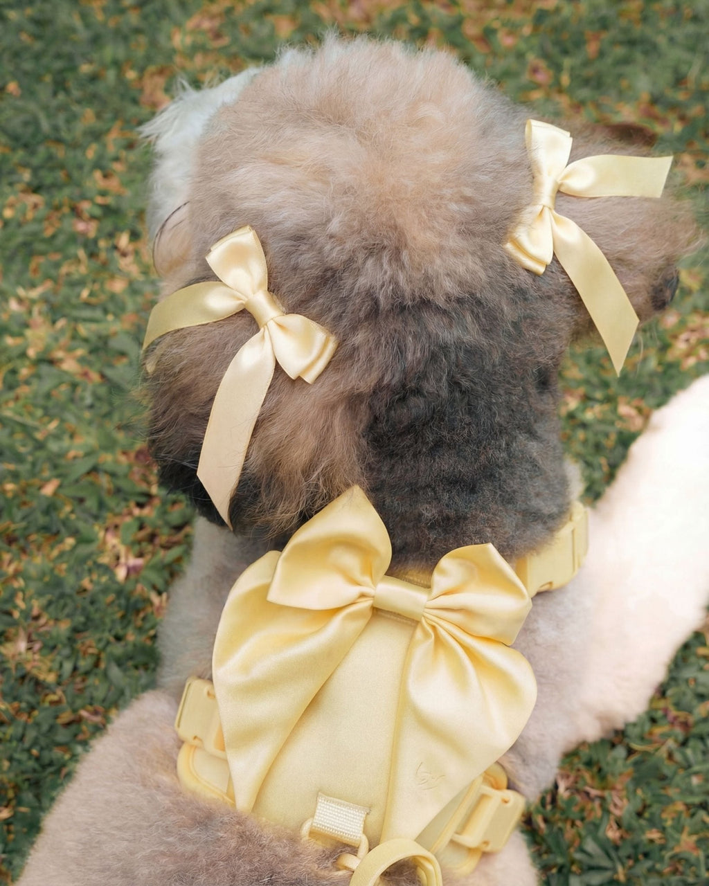 Petite Bow Clips - Buttercream