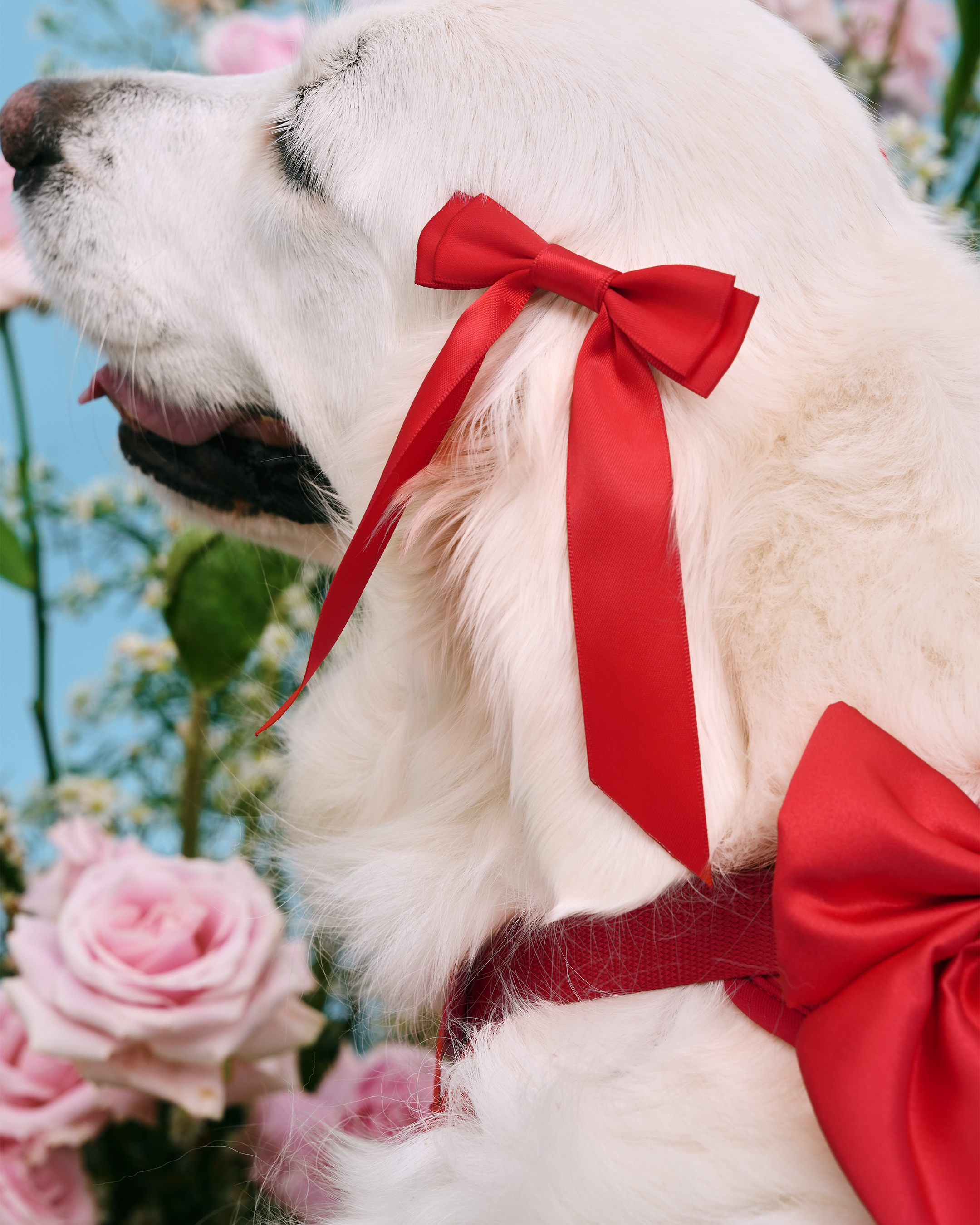Petite Bow Clips - Cherry