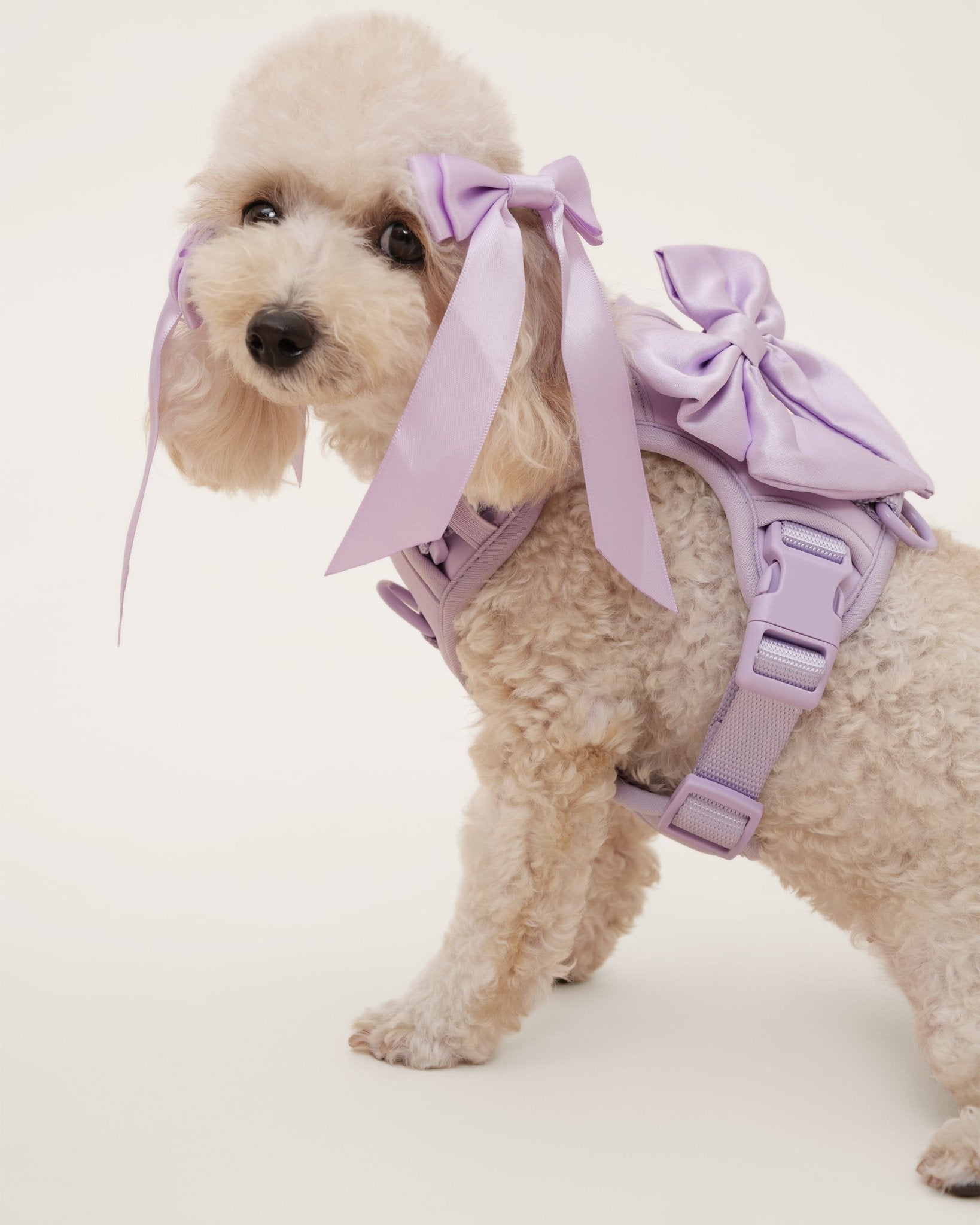 Petite Bow Clips - Lilac