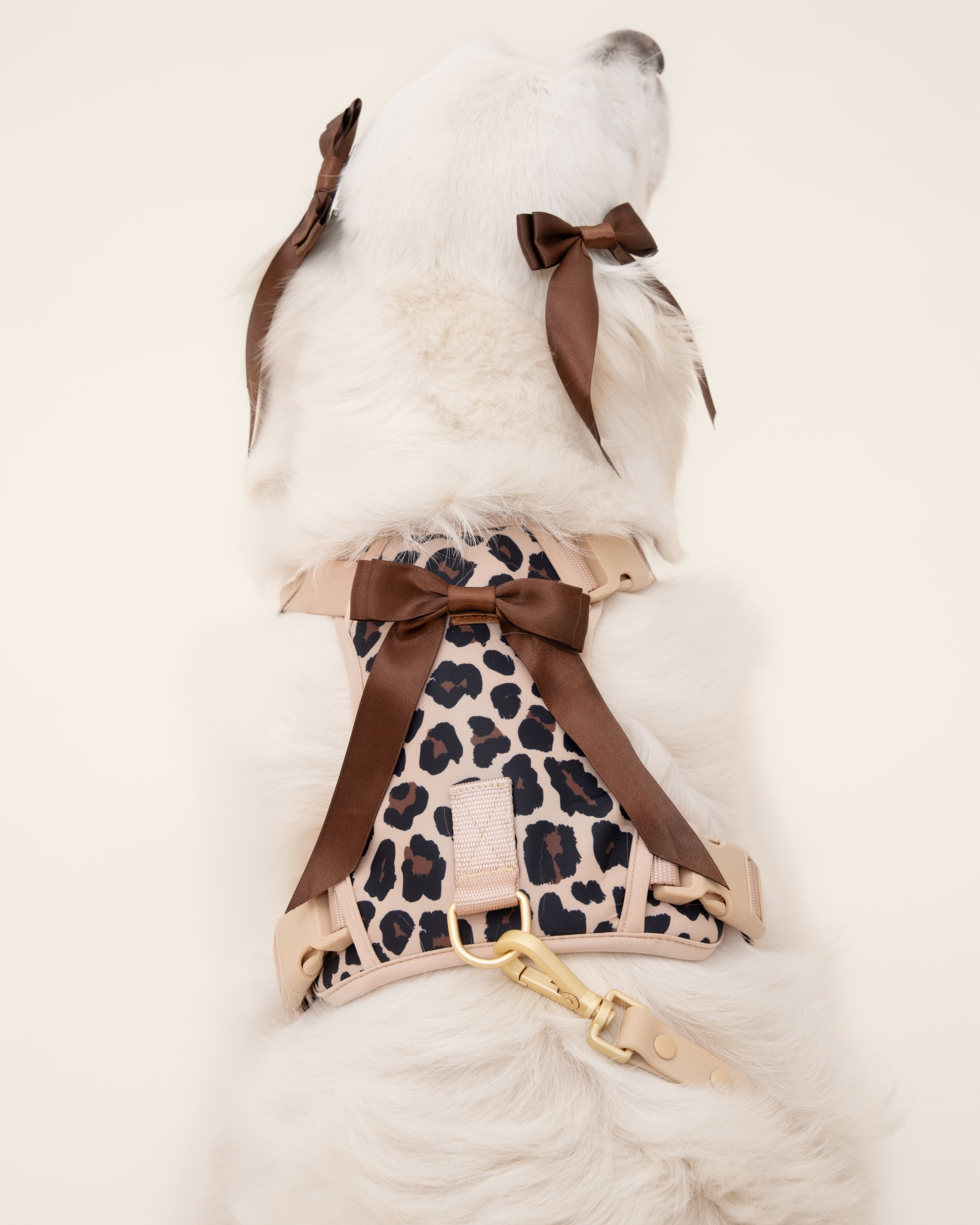 Petite Bow Clips - Cocoa