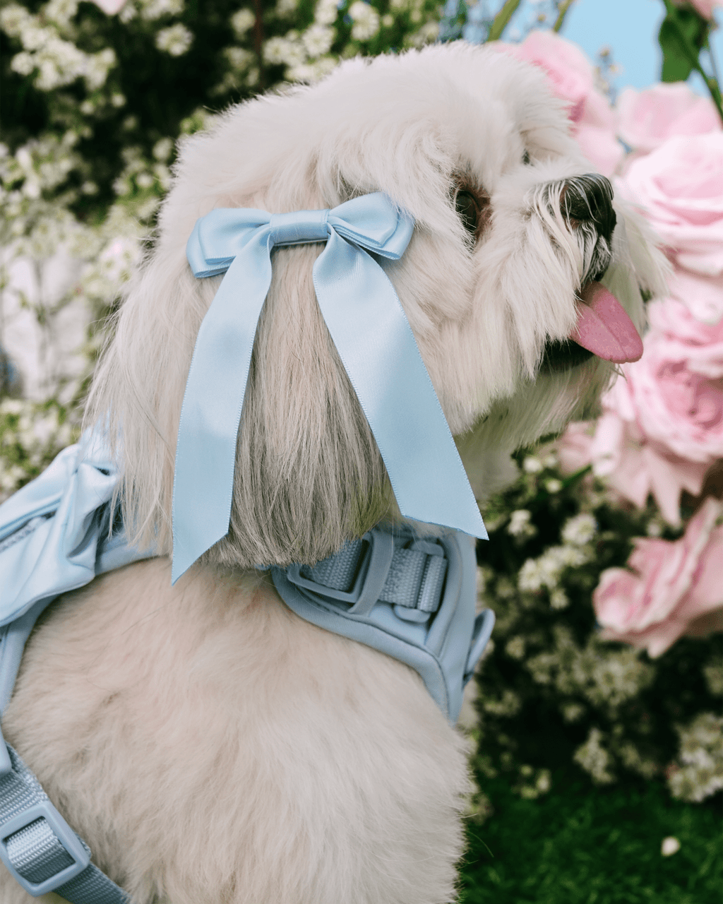 Petite Bow Clips - Sky