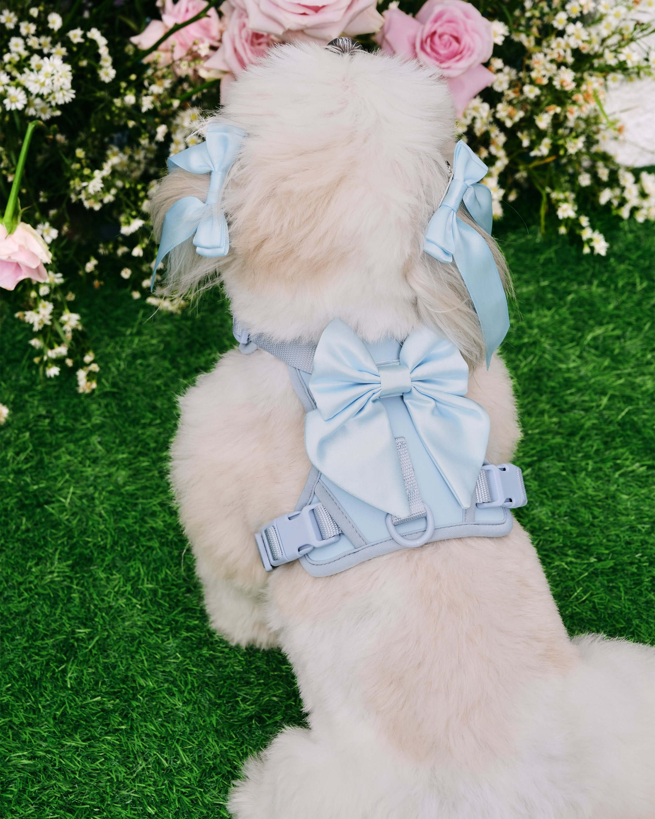 Satin Harness Bow - Sky