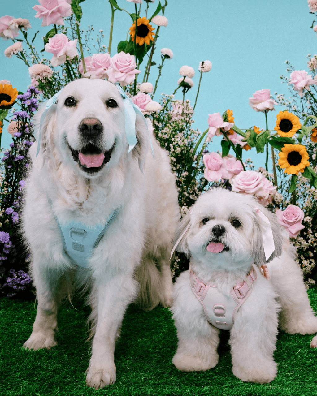Petite Bow Clips - Blossom