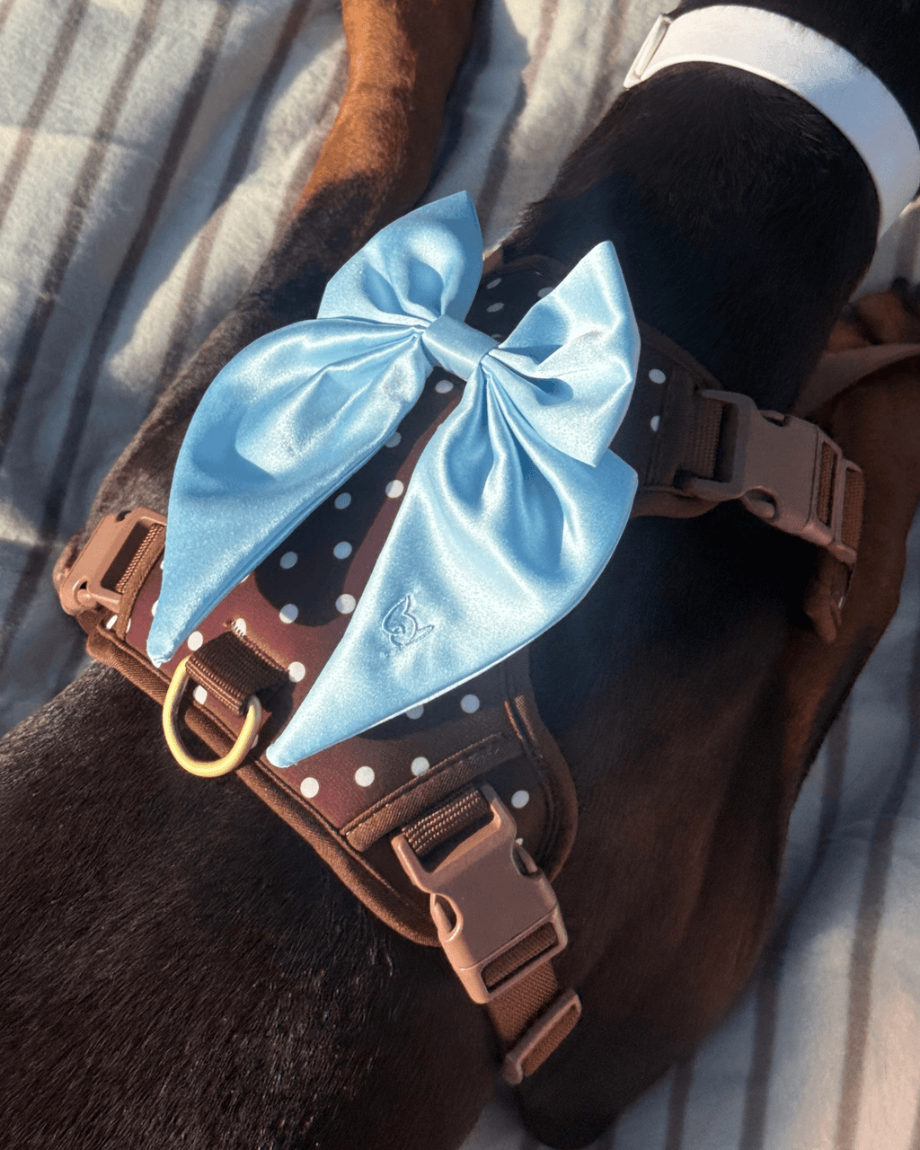 Satin Harness Bow - Sky