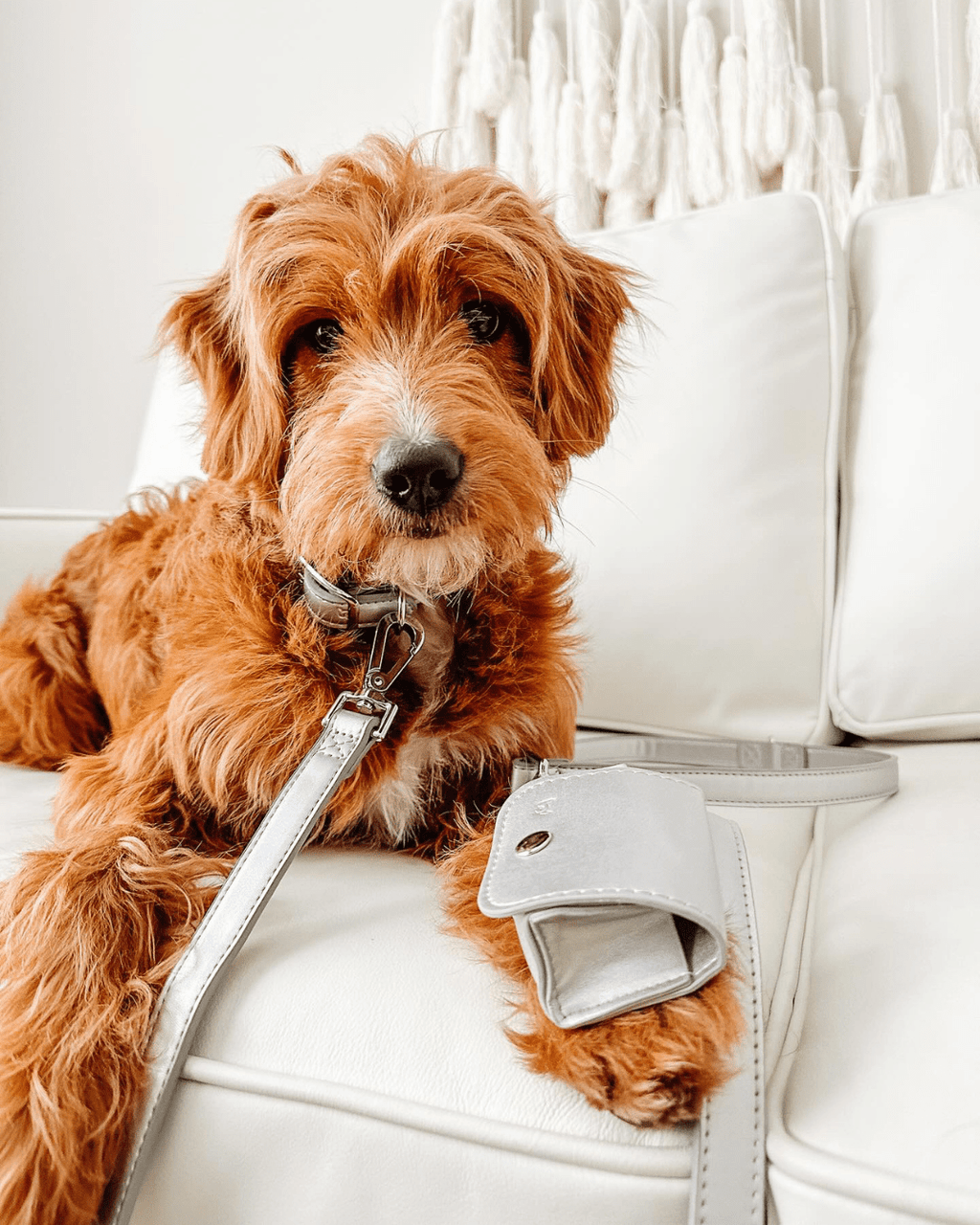 Shine Multiway Metallic Leather Leash & Poop Bag Pouch