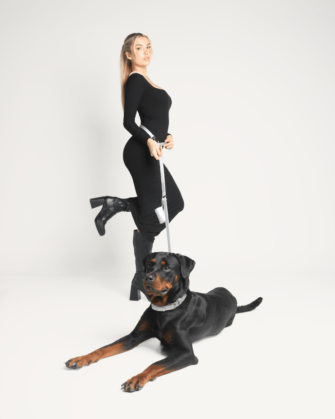 Shine Multiway Metallic Leather Leash & Poop Bag Pouch