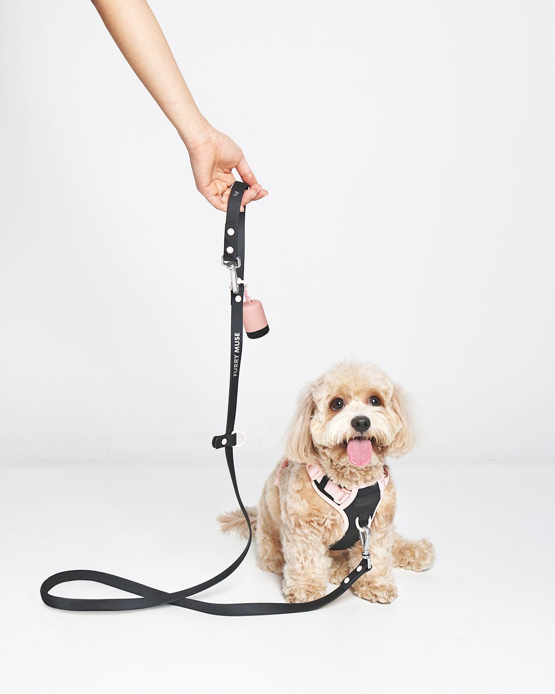 Wander! Multiway Leash -  Ballerina