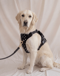 Wander! Bow Harness 2.0 - Midnight Polka Dot