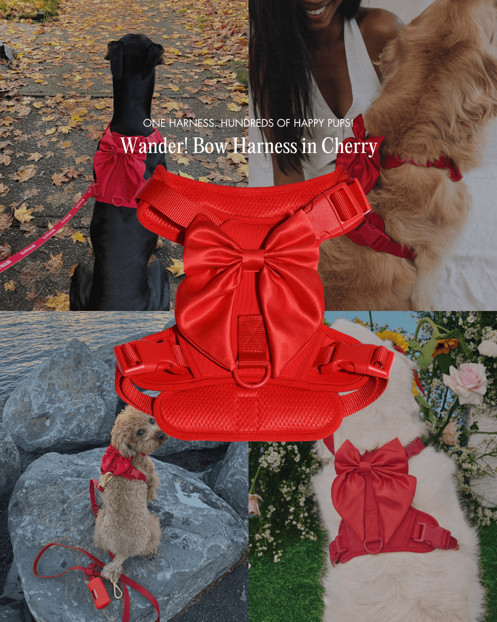 Wander! Bow Harness 2.0 - Cherry