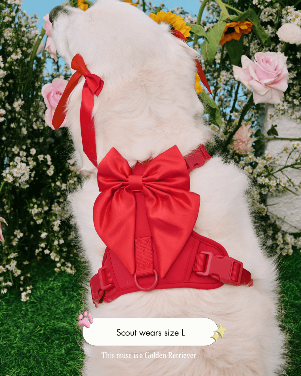 Wander! Bow Harness 2.0 - Cherry