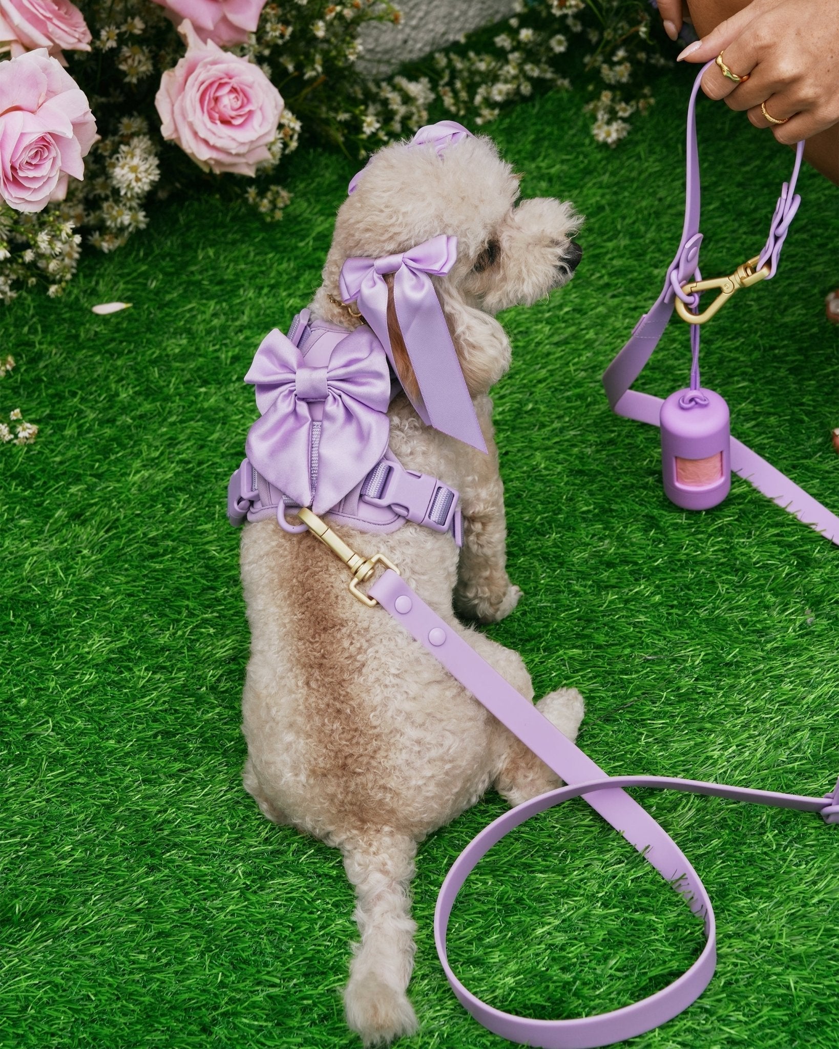 Wander! Poop Bag Pouch - Lilac
