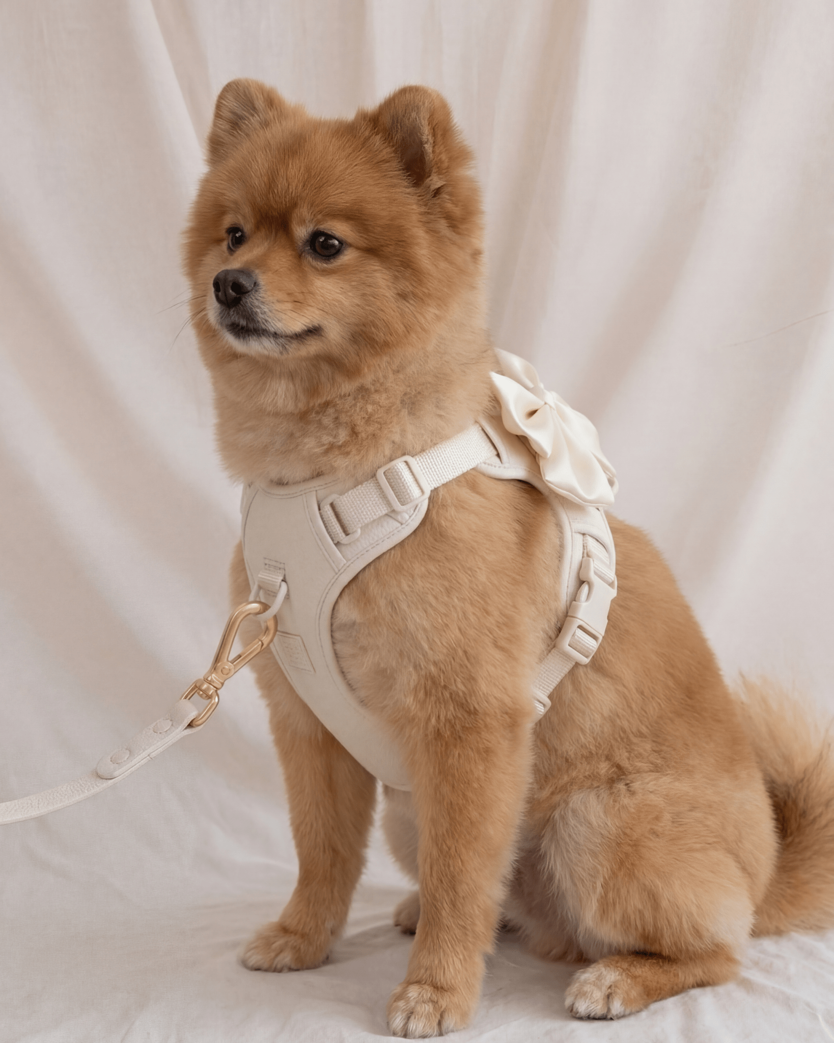 Wander! Multiway Leash - Pearl