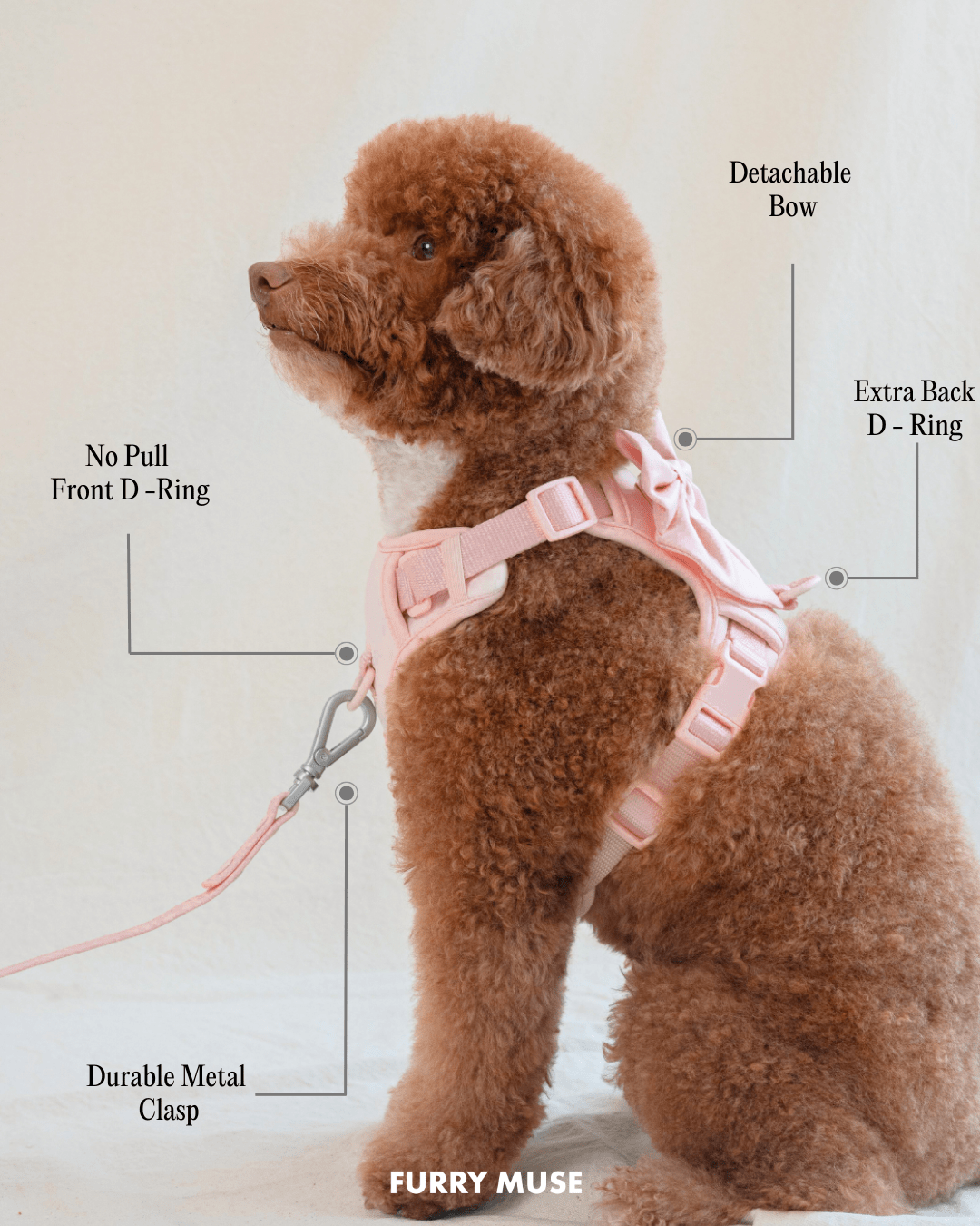 Wander! Bow Harness Lilac