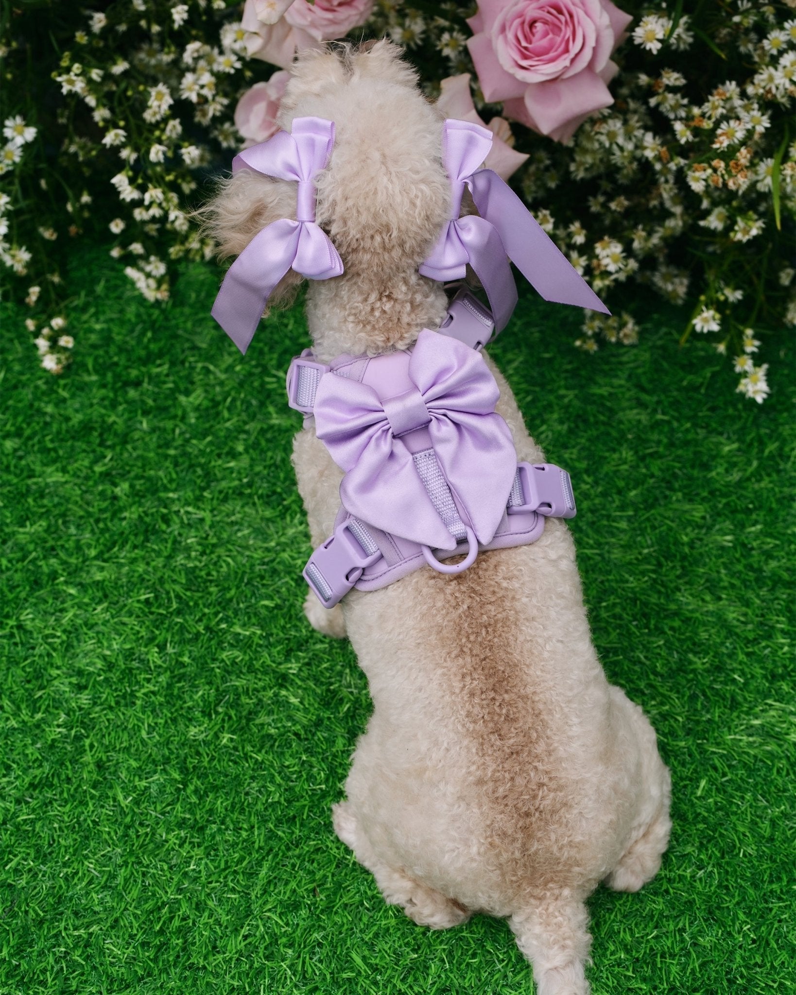 Wander! Bow Harness Lilac