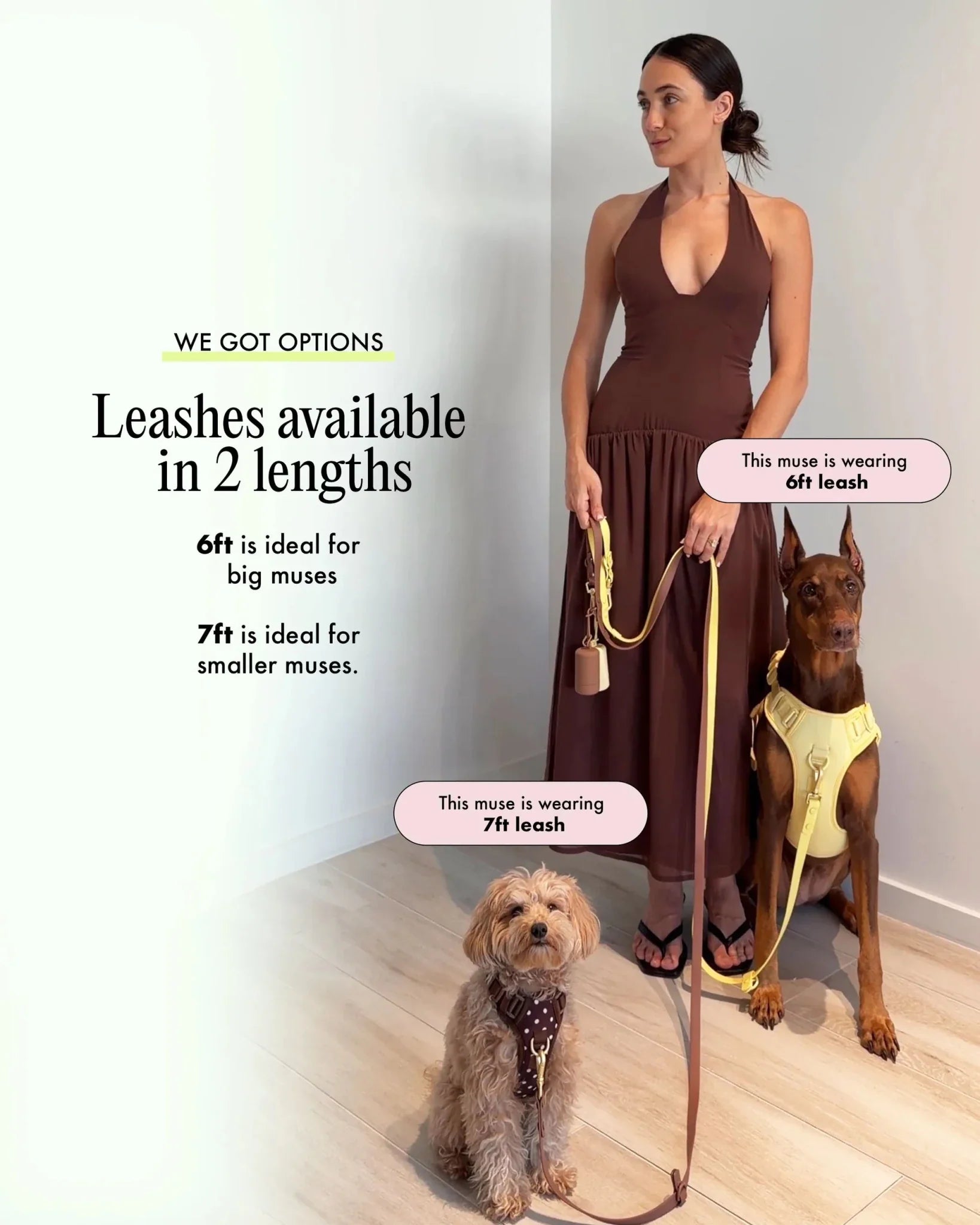 Wander! Multiway Leash - Lilac