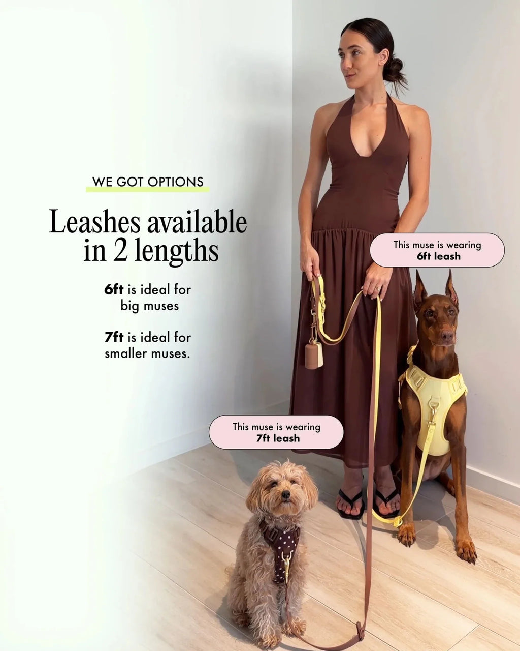 Wander! Multiway Leash - Cocoa