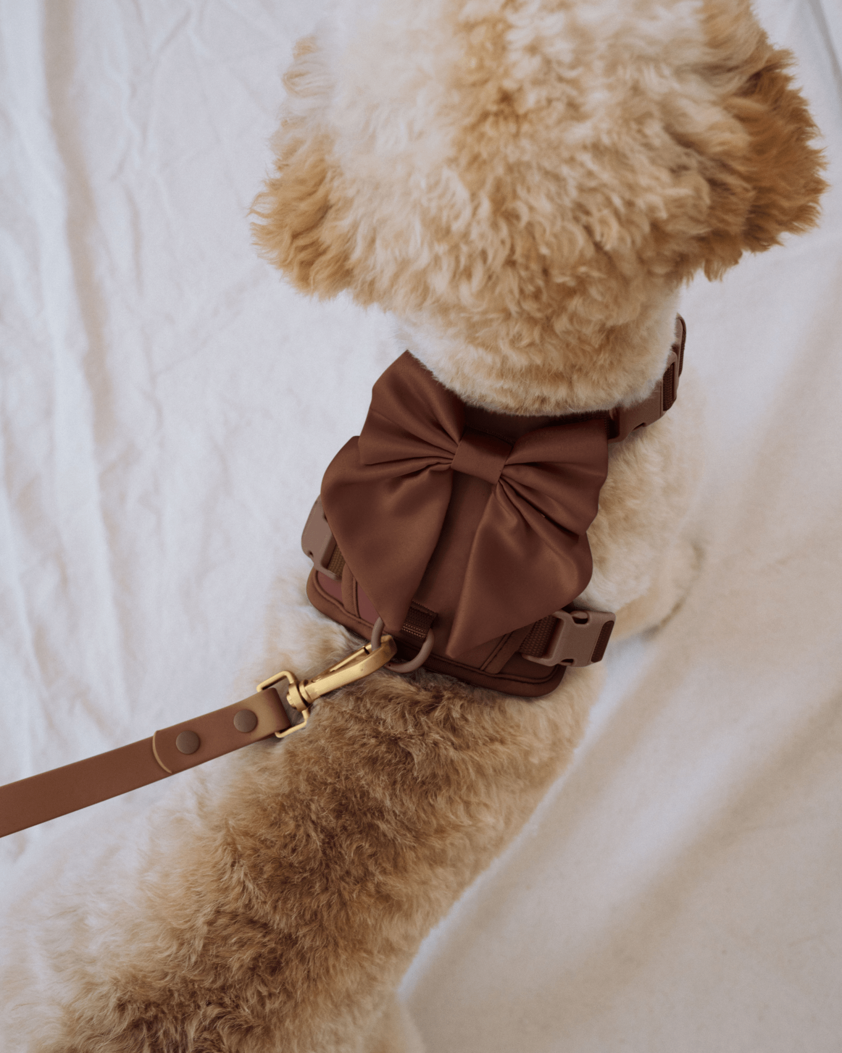 Wander! Multiway Leash - Cocoa