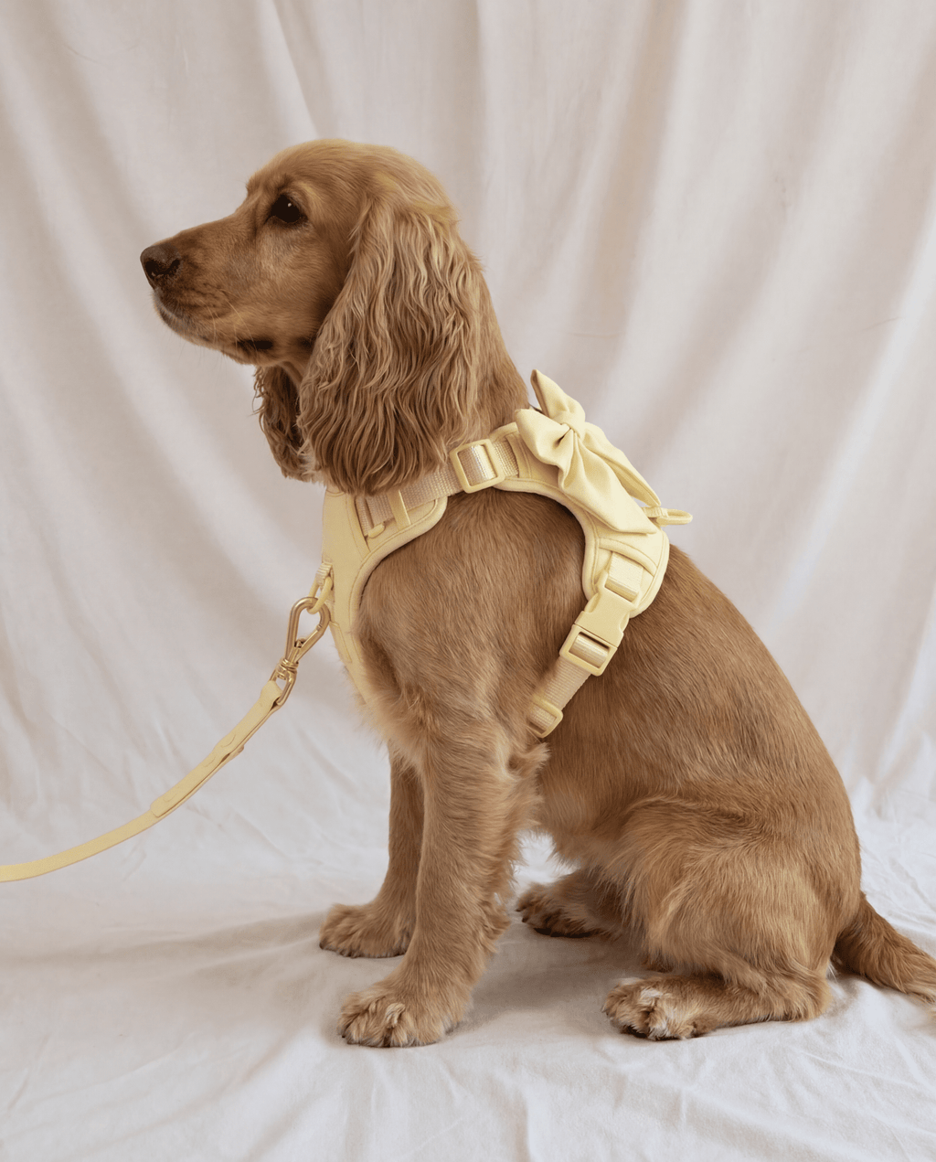 Wander! Multiway Leash - Buttercream
