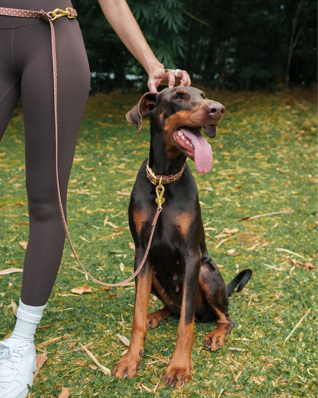 Wander! Multiway Leash - Cocoa Polka Dot
