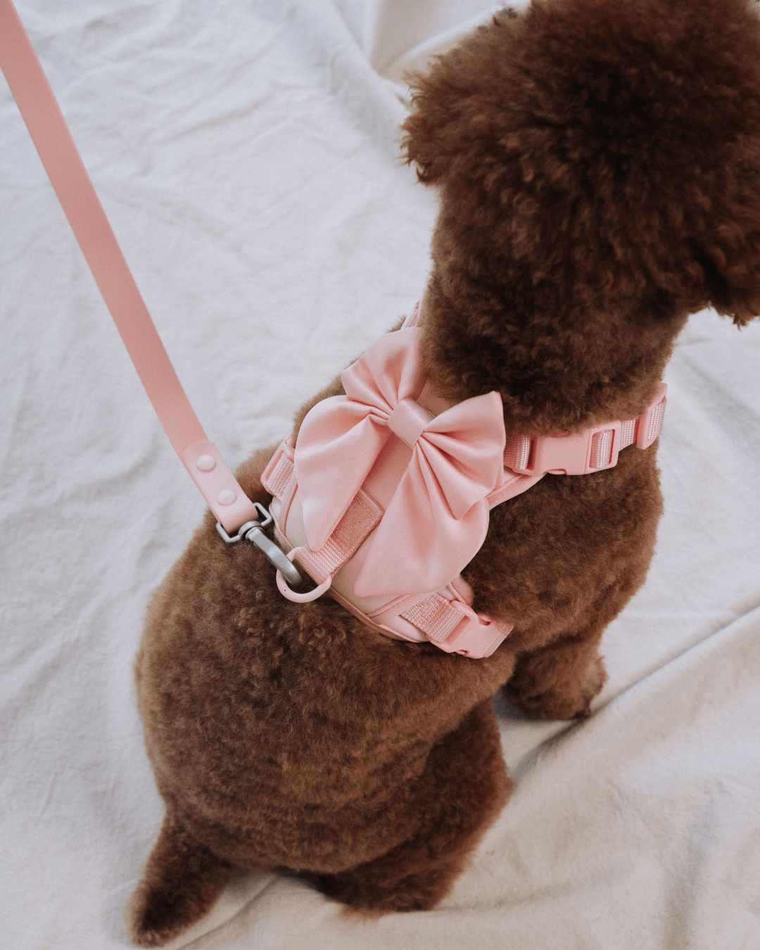 Wander! Multiway Leash - Blossom