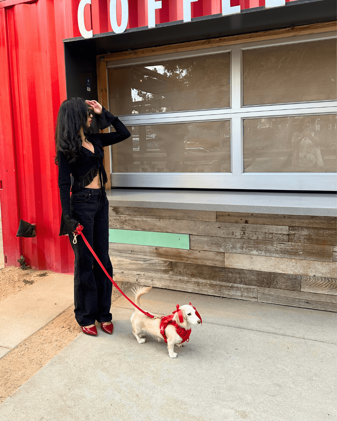 Wander! Multiway Leash -  Cherry
