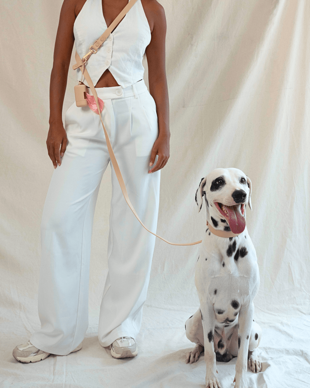Wander! Multiway Leash -  Latte