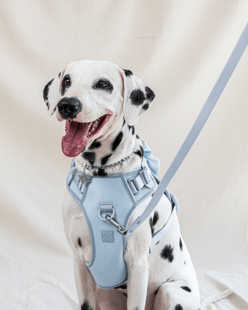 Wander! Multiway Leash -  Sky