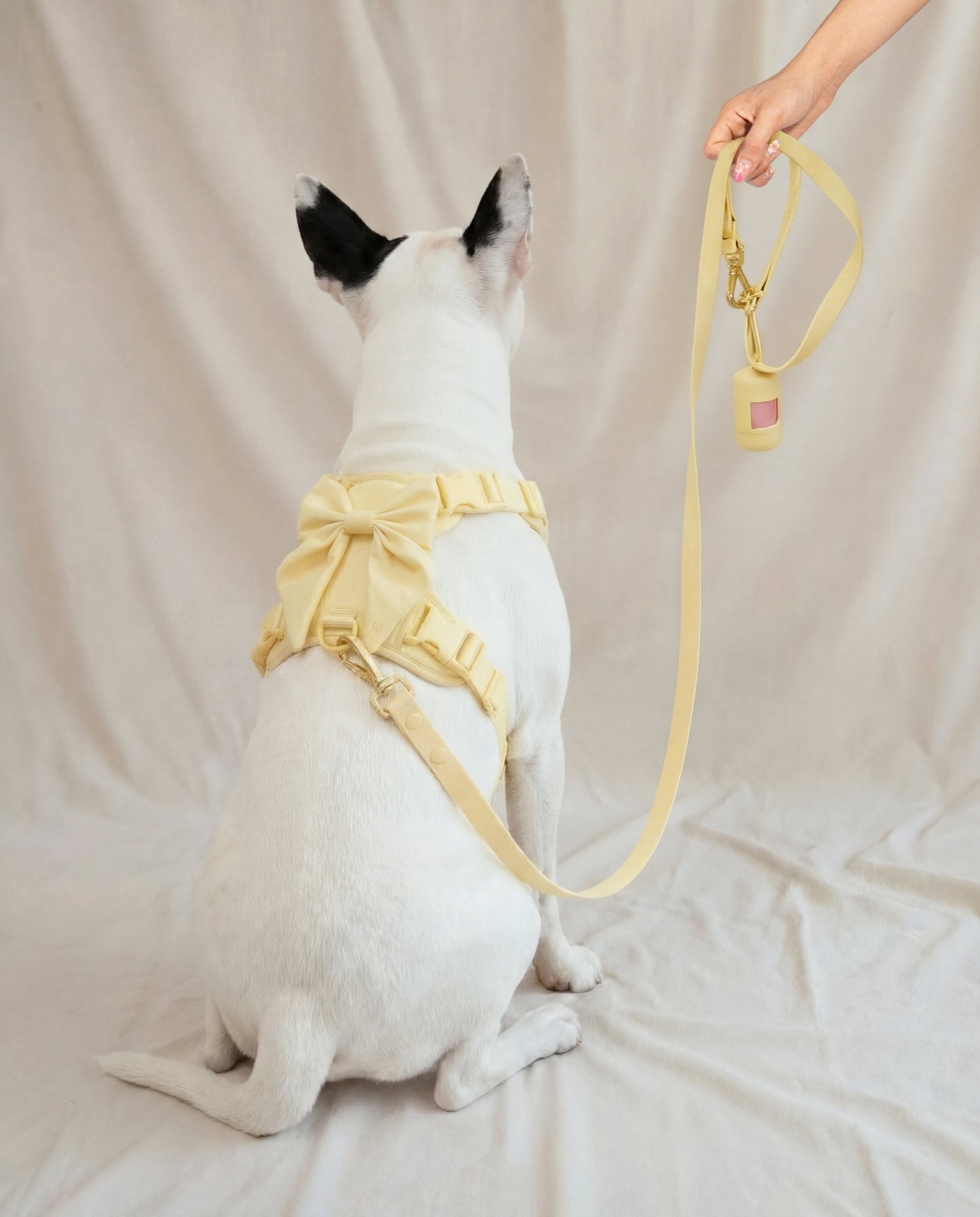 Wander! Poop Bag Pouch - Buttercream