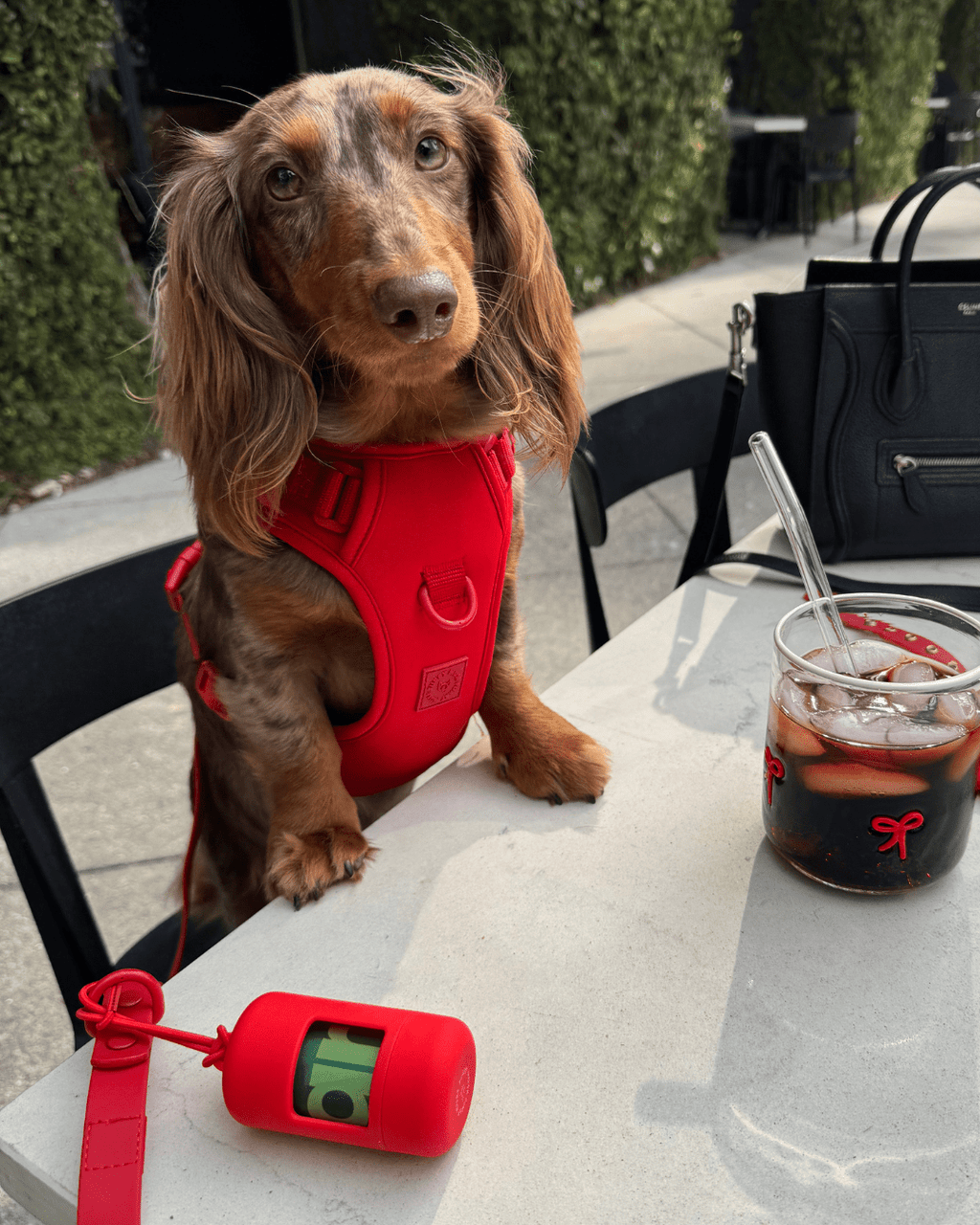 Wander! Poop Bag Pouch - Cherry