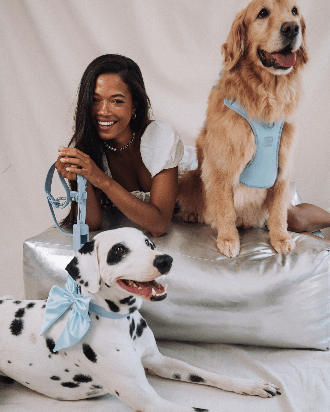 Wander! Poop Bag Pouch - Sky