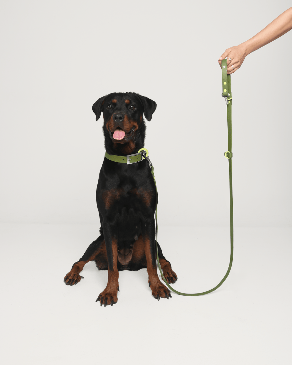 Wander! Waterproof Collar - Martini