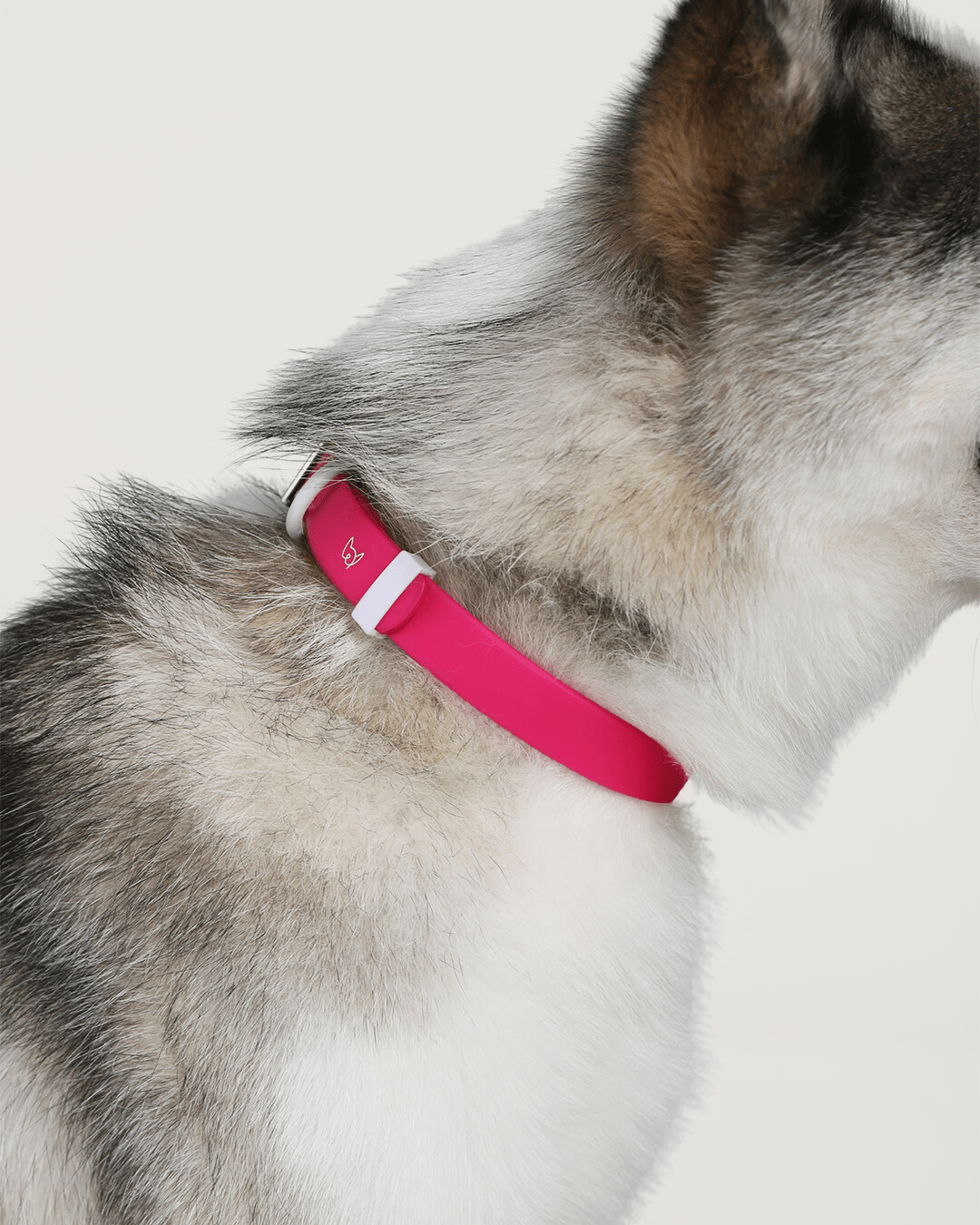 Wander! Waterproof Collar - Bubblegum